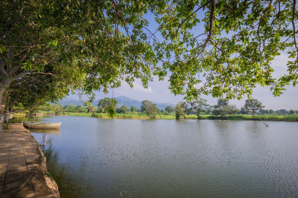 Mps Village Dambulla Exterior foto