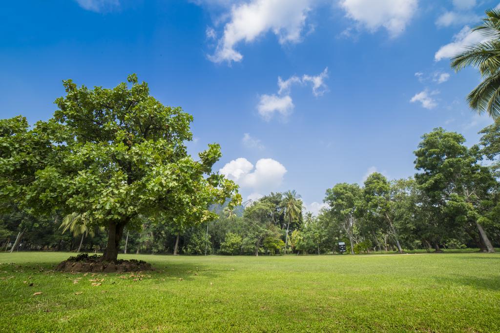 Mps Village Dambulla Exterior foto